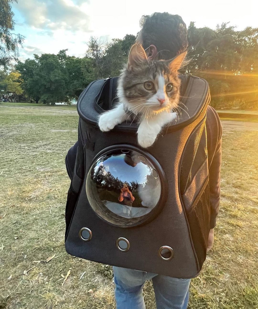 "Purrfect Voyage" Cat Backpack