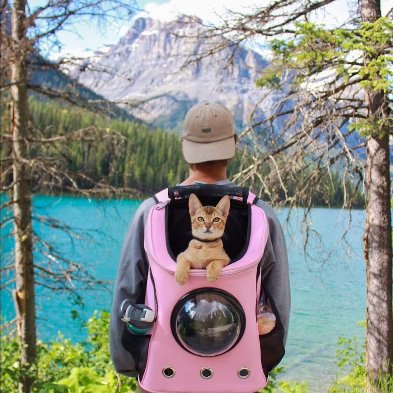 "Purrfect Voyage" Cat Backpack