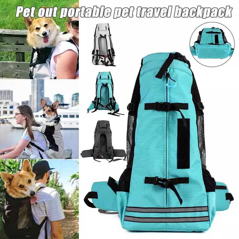 Summer Dog Carrier