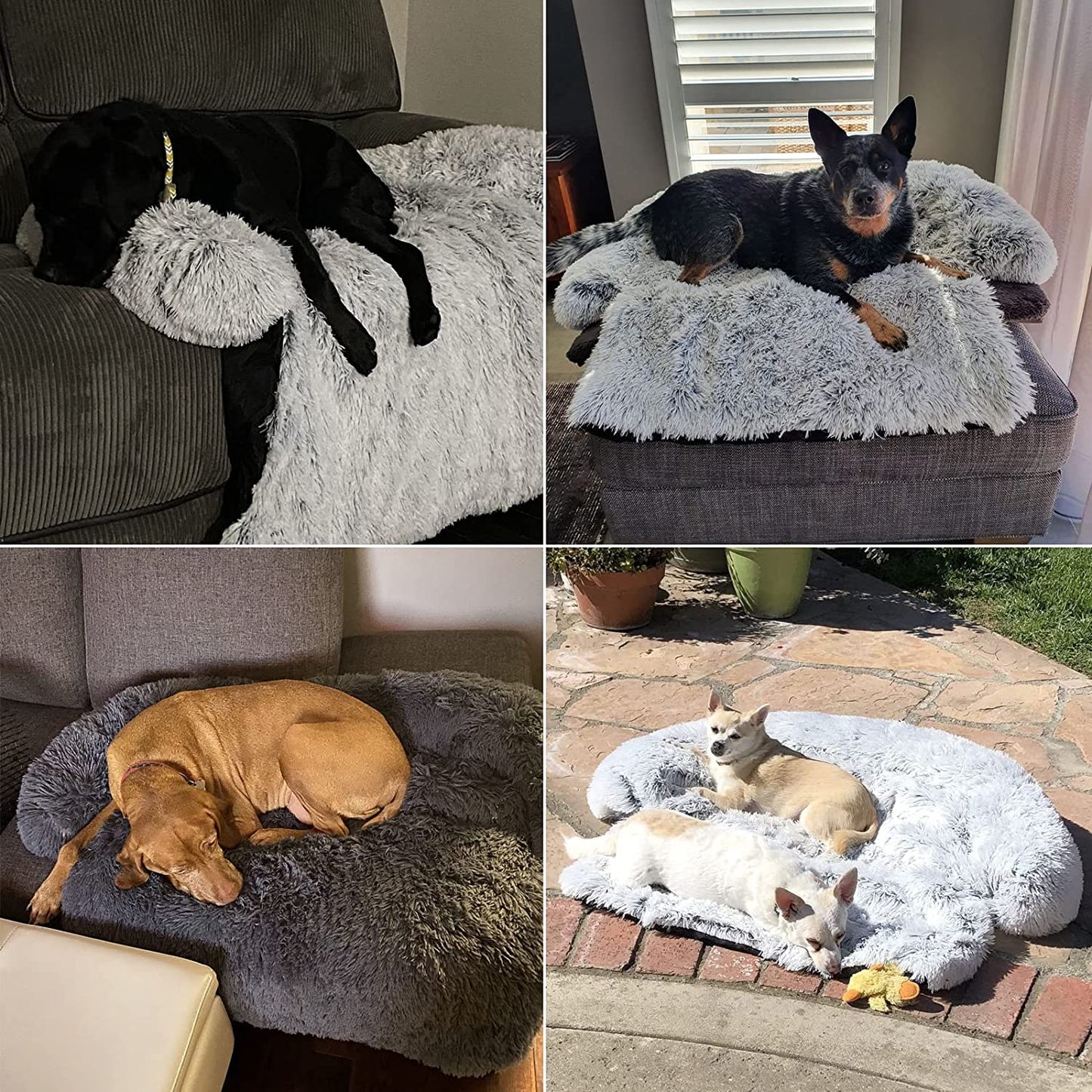 Pet Couch Cover