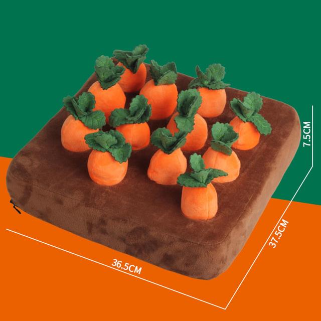 Carrot Pet Farm Toy