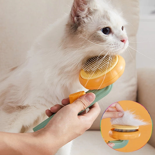 Pet Hair Removing Brush