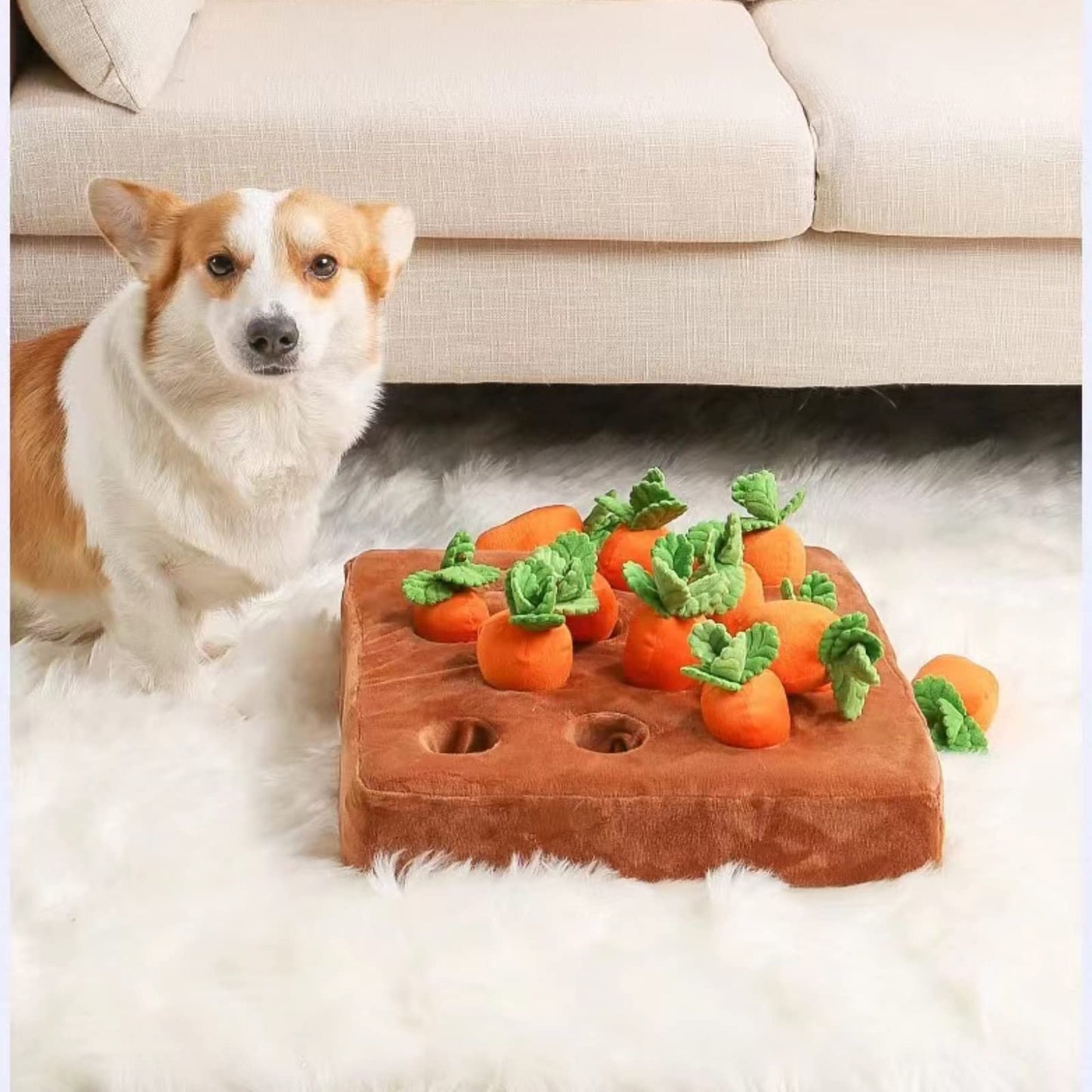 Carrot Pet Farm Toy