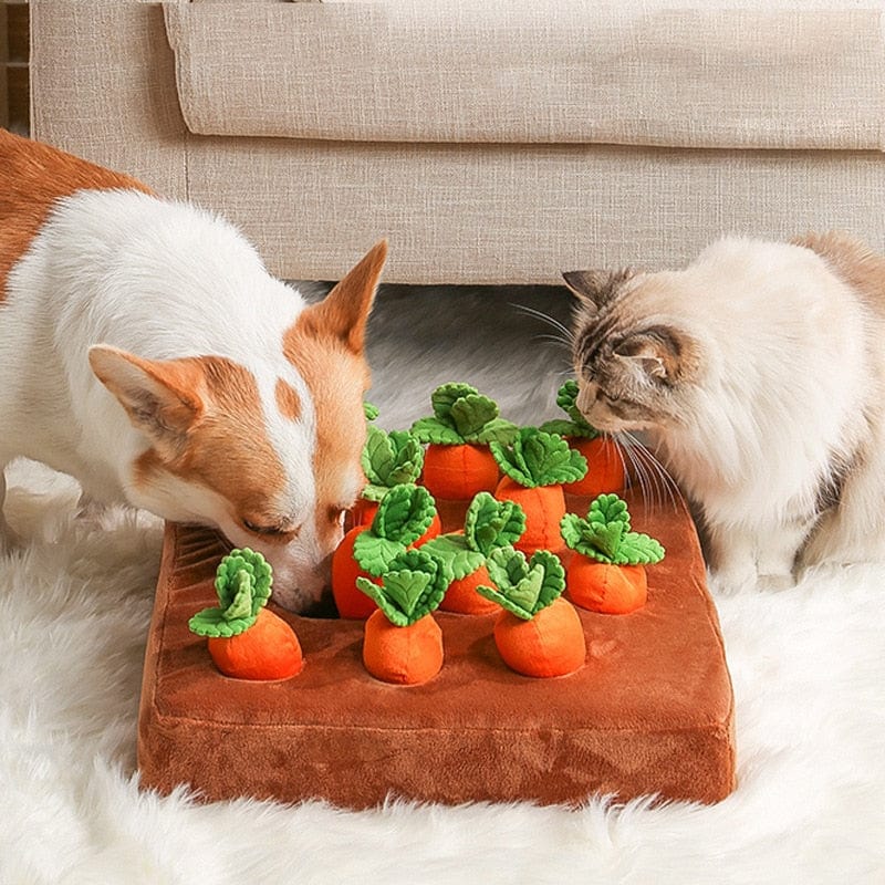 Carrot Pet Farm Toy