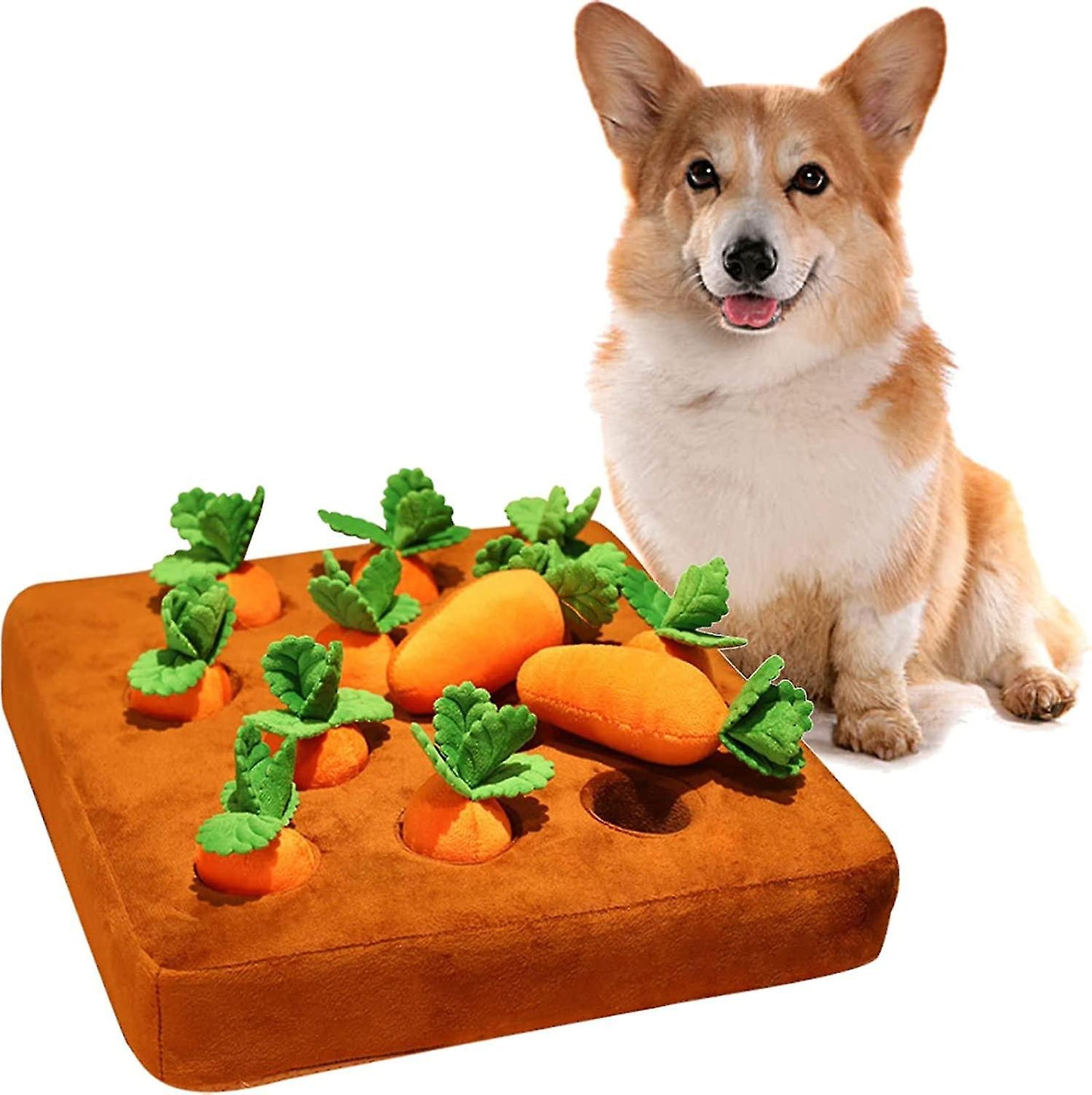 Carrot Pet Farm Toy